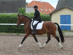 img_4702_web